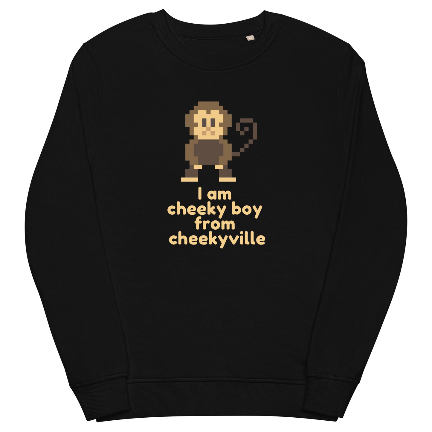 Black unisex sweatshirt with retro pixel art cheeky boy graphic and 'I am cheeky boy from cheekyville' text