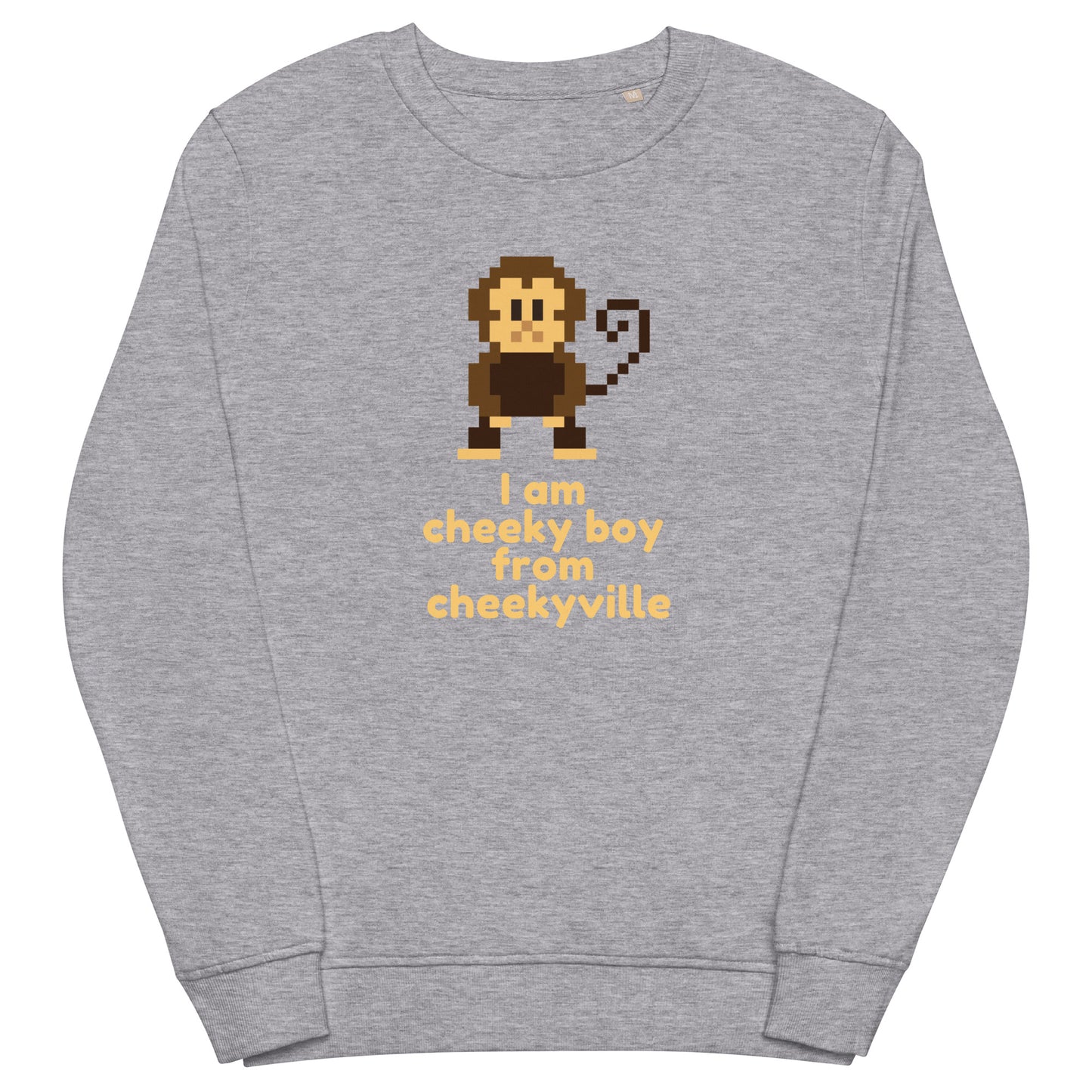 Grey melange unisex sweatshirt with retro pixel art cheeky boy graphic and 'I am cheeky boy from cheekyville' text